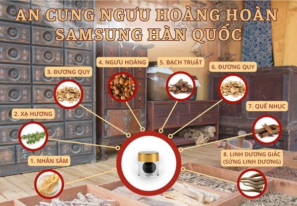 Hình ảnh bài viết