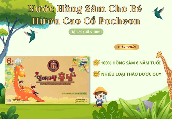 Hình ảnh bài viết