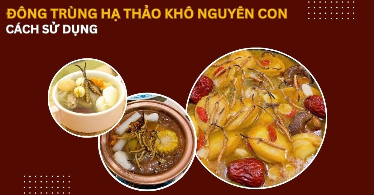 7. Tổng Kết: Lợi Ích Và Cách Sử Dụng Đông Trùng Hạ Thảo Khô Nguyên Con