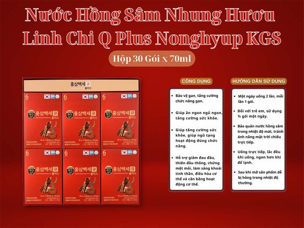 Nước hồng sâm nhung hươu linh chi Q Plus chính hãng Hàn Quốc.
