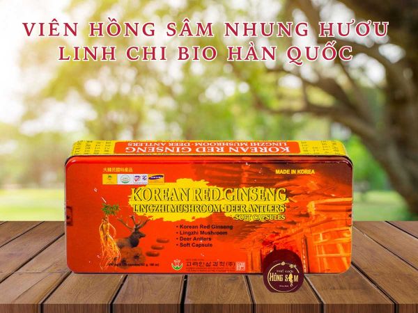 Hình ảnh bài viết