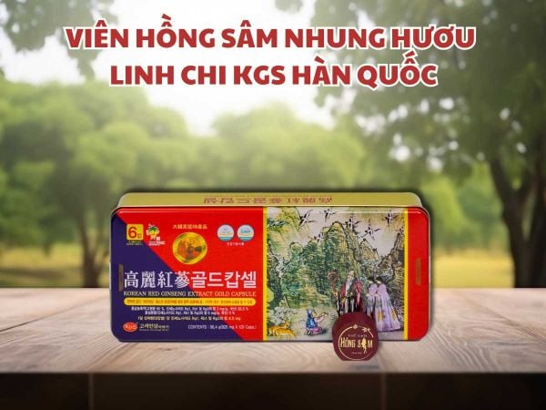 Viên hồng sâm nhung hươu linh chi KGS hộp 120 viên chính hãng Hàn Quốc.