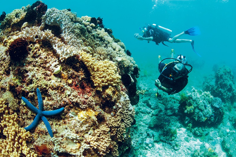 Tham khảo tour lặn biển ngắm san hô ở Phú Quốc của Suntrip.vn