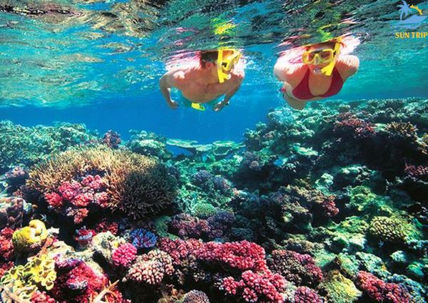 Lịch trình tour 4 đảo Phú Quốc lặn ngắm san hô cực kỳ hấp dẫn