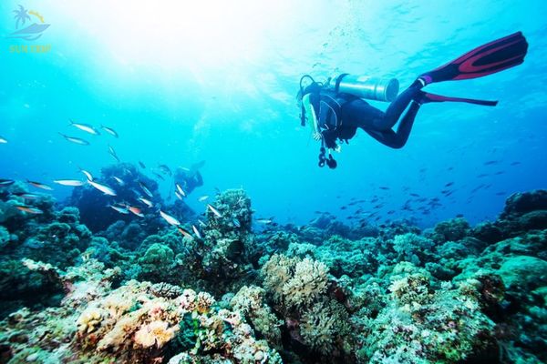 Những lưu ý khi du lịch tour 4 đảo Phú Quốc lặn ngắm san hô chắc chắn bạn sẽ cần