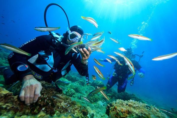 Giá lặn biển ở phú quốc