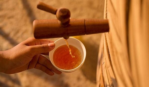 Ngắm san hô ở Phú Quốc