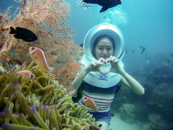 Tour lặn san hô ở Phú Quốc