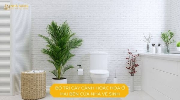 bo tri cay canh hoac hoa o ben cua nha ve sinh