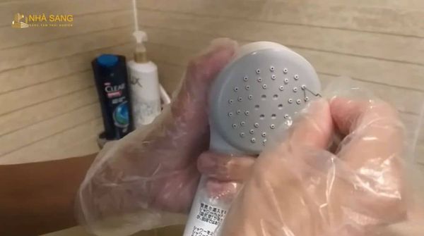 cach de tang tuoi tho bat sen