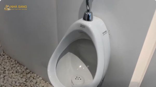 nguyen nhan bon tieu nam bi hoi