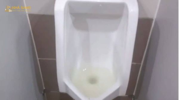 nguyen nhan bon tieu nam bi nghet