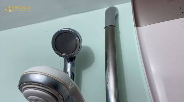 nguyen nhan khien voi sen bi ri nuoc