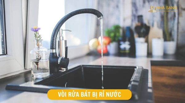 nguyen nhan khien voi rua bat bi tac