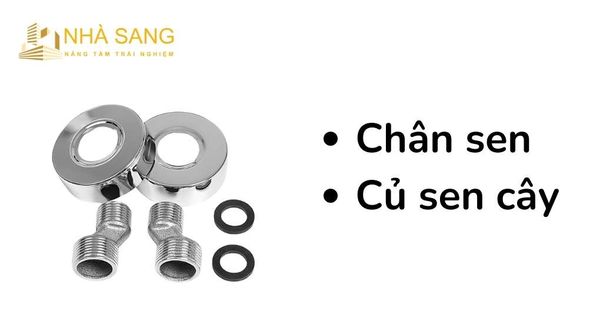 nhung dung cu can chuan bi khi lap sen cay