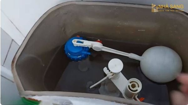 dac diem can gat nuoc bon cau