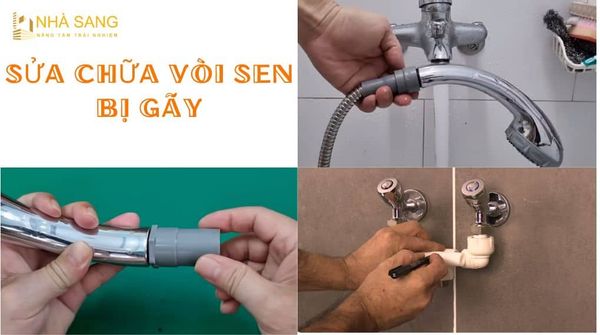 sua chua voi sen bi gay
