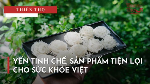 YẾN TINH CHẾ, SẢN PHẨM TIỆN LỢI CHO SỨC KHỎE VIỆT