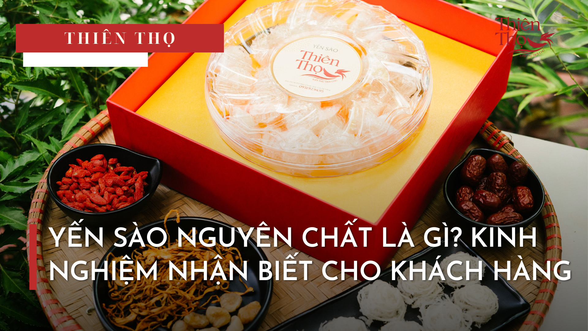 YẾN SÀO NGUYÊN CHẤT LÀ GÌ? KINH NGHIỆM NHẬN BIẾT CHO KHÁCH HÀNG