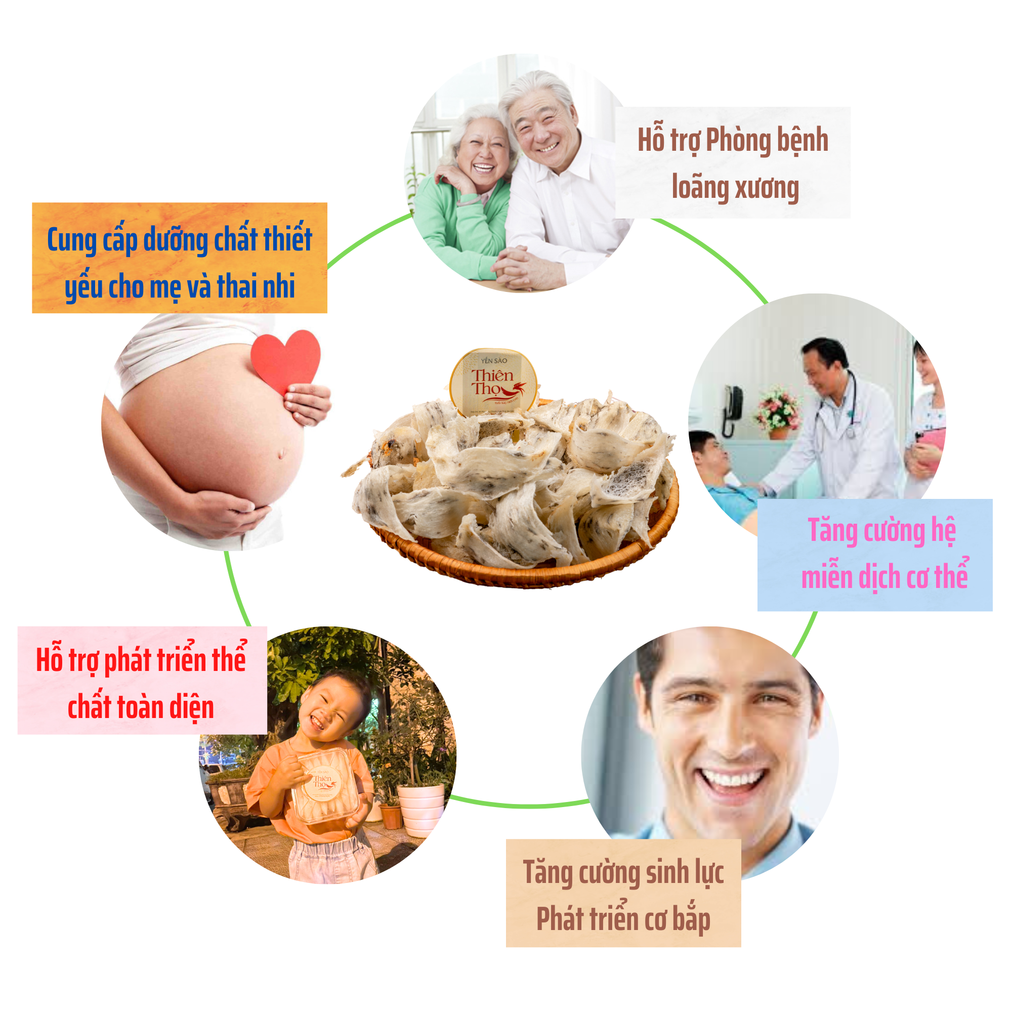 Công dụng tuyệt vời của tổ yến với mọi đối tượng