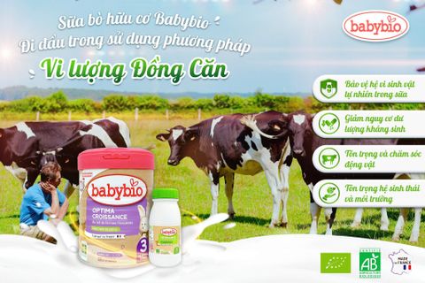 Sữa bò hữu cơ Babybio - Đi đầu trong sử dụng phương pháp Vi lượng Đồng Căn