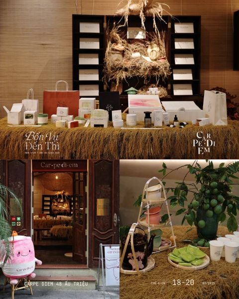 TRIỂN LÃM “BỐN VỤ ĐẾN THÌ” – Những mùa vụ của Carpe Diem đã tới ngày thu hái.