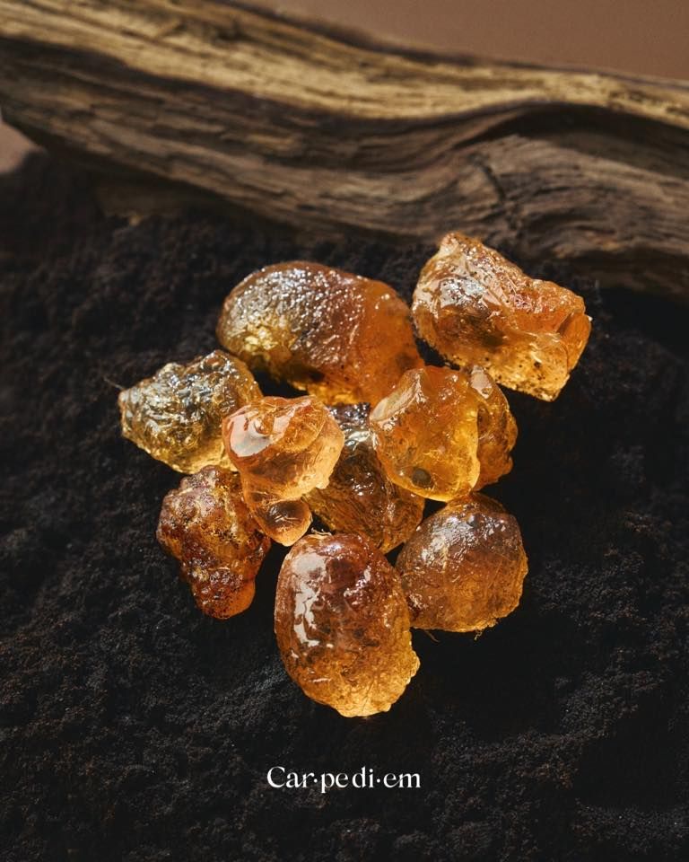 Đá thơm là một đợt nảy mầm khác trong mảnh vườn của Carpe Diem.