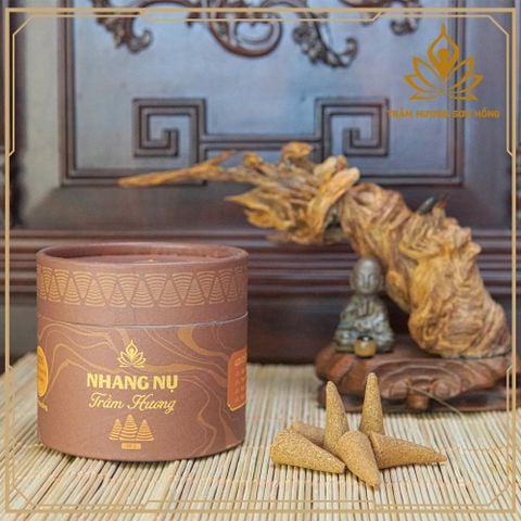 NỤ TRẦM HƯƠNG LÀ GÌ? TÁC DỤNG CỦA NỤ TRẦM HƯƠNG TRONG ĐỜI SỐNG