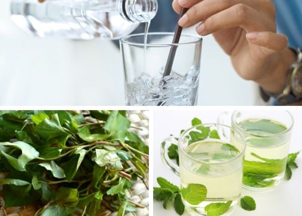 Cách làm mặt nạ rau diếp cá để tủ lạnh được tươi lâu không bị hỏng