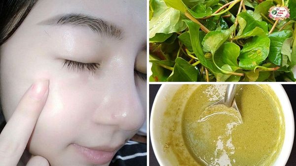 Cách làm trắng da mặt bằng rau diếp cá đơn giản hiệu quả cùng những nguyên liệu vô cùng dễ kiếm