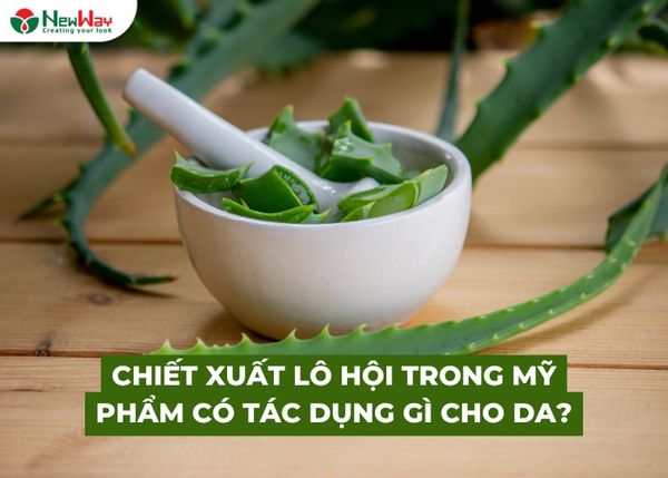 Chiết xuất lô hội trong mỹ phẩm có tác dụng gì cho da?