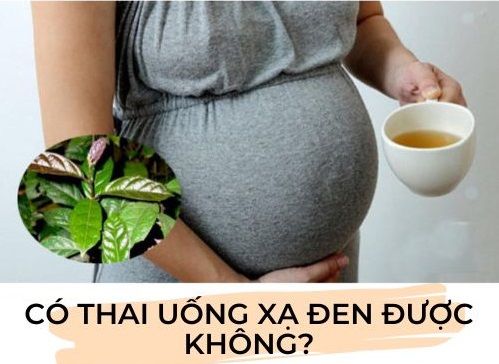 Bà bầu uống xạ đen được không? Tác dụng của nước xạ đen với bà bầu