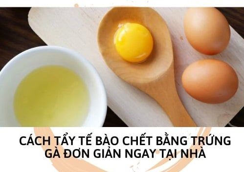 Cách tẩy tế bào chết bằng trứng gà đơn giản ngay tại nhà