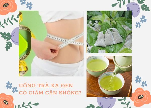 Uống xạ đen có giảm cân không? Sử dụng xạ đen như thế nào để giảm cân hiệu quả?