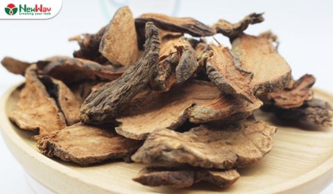 |Giải đáp| Uống hà thủ ô có đẹp da không? & Cách dùng hiệu quả