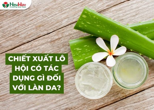 Lô hội (Aloe Vera) là thành phần chủ đạo trong nhiều công thức mỹ phẩm