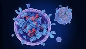 Đối tượng phù hợp với Exosome