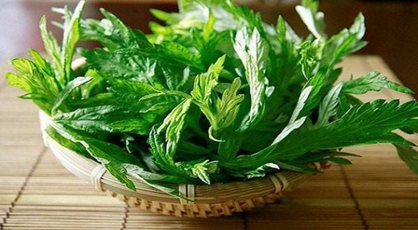 Giới thiệu về ngải cứu và công dụng làm đẹp