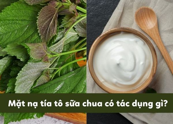 Đắp Mặt Nạ Lá Tía Tô Có Tác Dụng Gì? Bí Quyết Làm Đẹp Hiệu Quả Tại Nhà