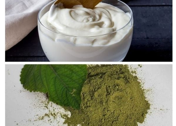 Mặt nạ tía tô, sữa chua mật ong