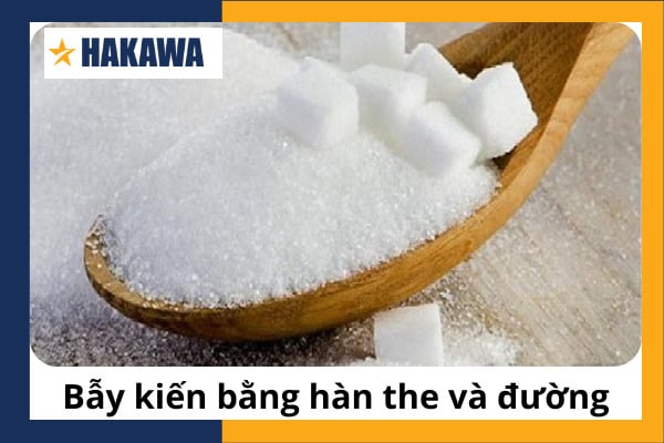 Bẫy kiến bằng hàn the và đường