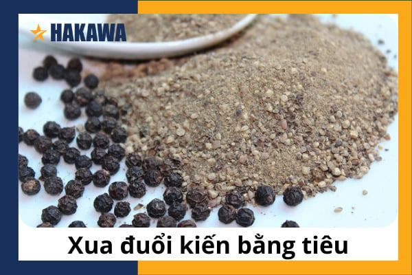 Xua đuổi kiến bằng tiêu