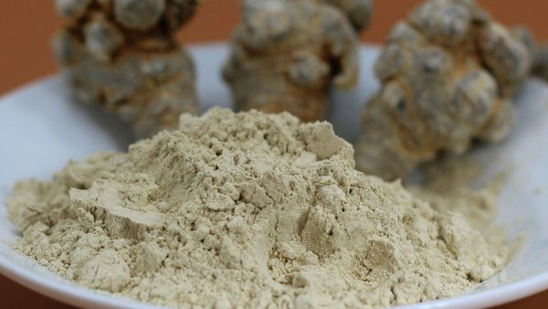 Bột tam thất bắc, lợi ích sức khỏe, cách dùng và các lưu ý khi sử dụng