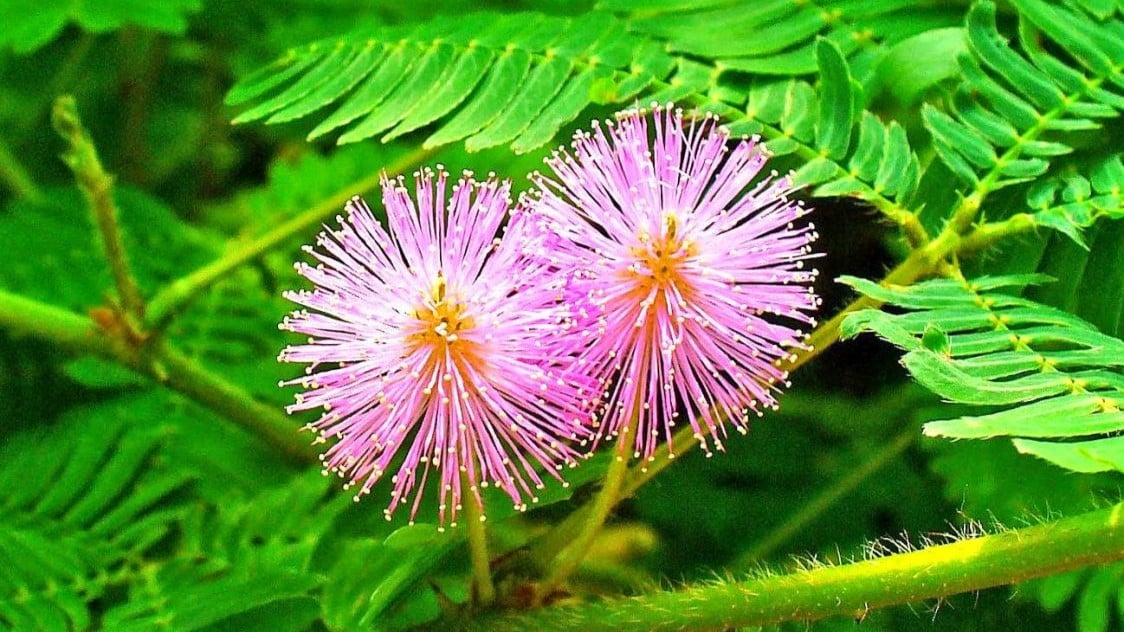 Bất ổn cảm xúc