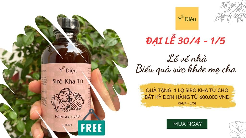 Khuyễn mãi Chào mừng đại lễ 30/4 - 1/5: Lễ về nhà - Biếu quà sức khỏe mẹ cha