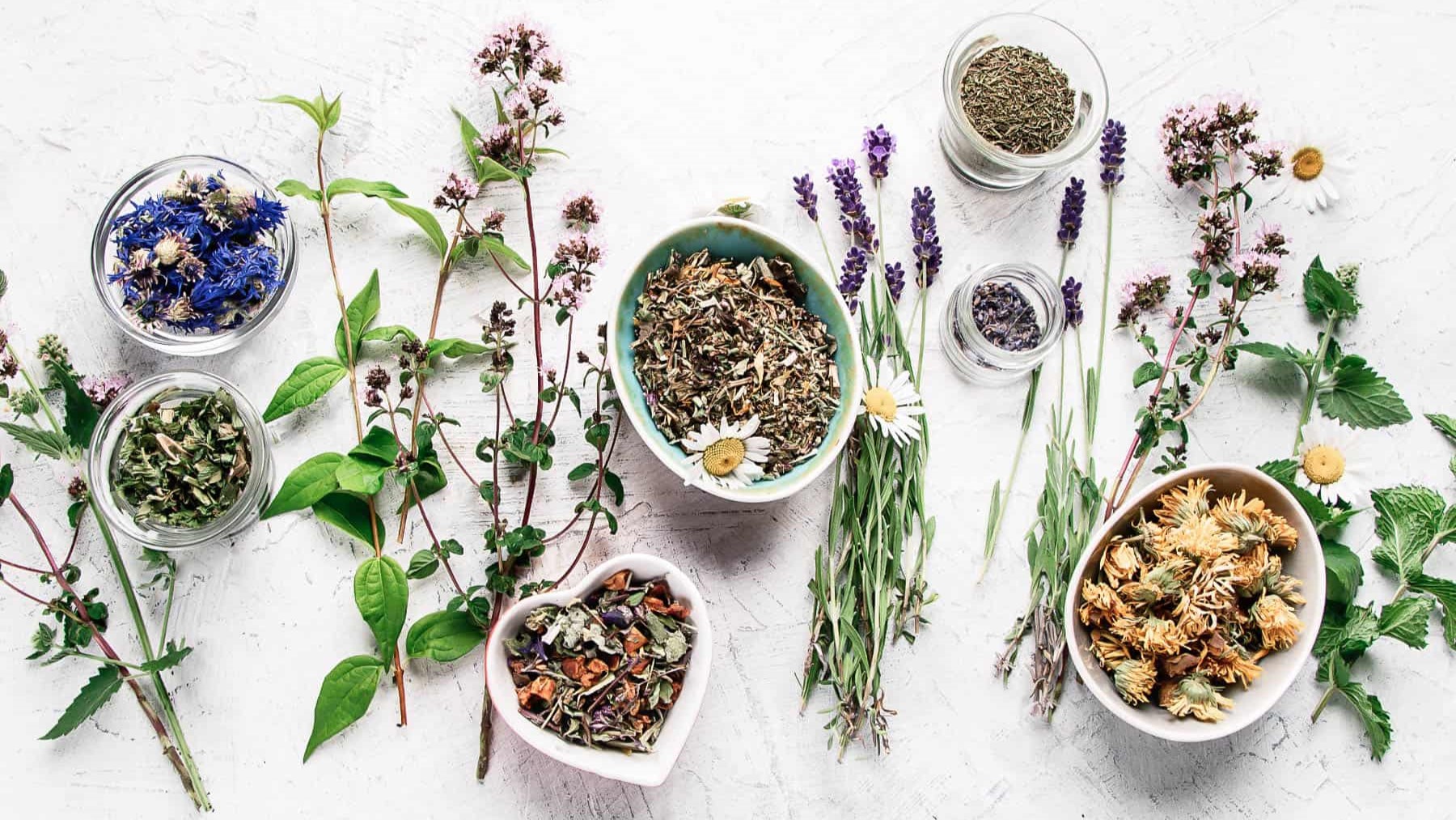 9 lưu ý bạn cần biết khi thực hiện thanh lọc, thải độc cơ thể (cập nhật 2023)