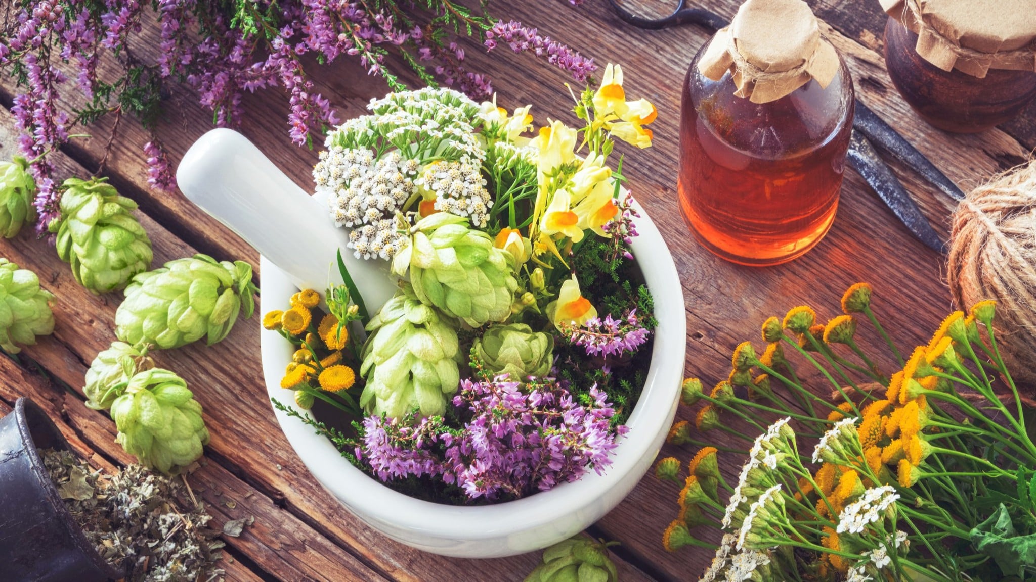 Sử dụng thảo dược có xu hướng ngày càng phổ biến