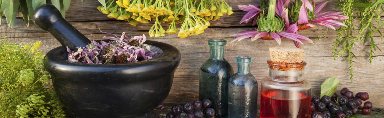 Siro/Cao thảo dược