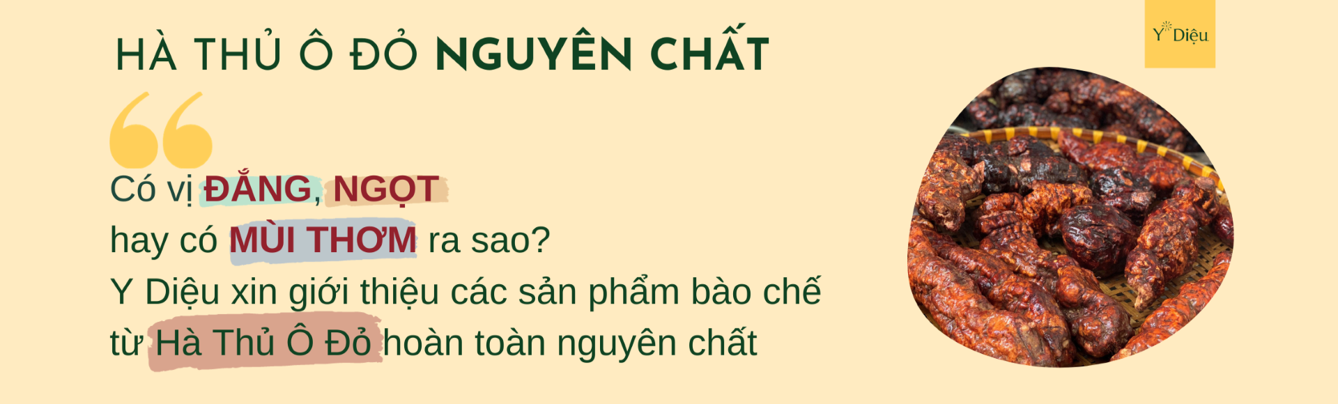 Hà Thủ Ô
