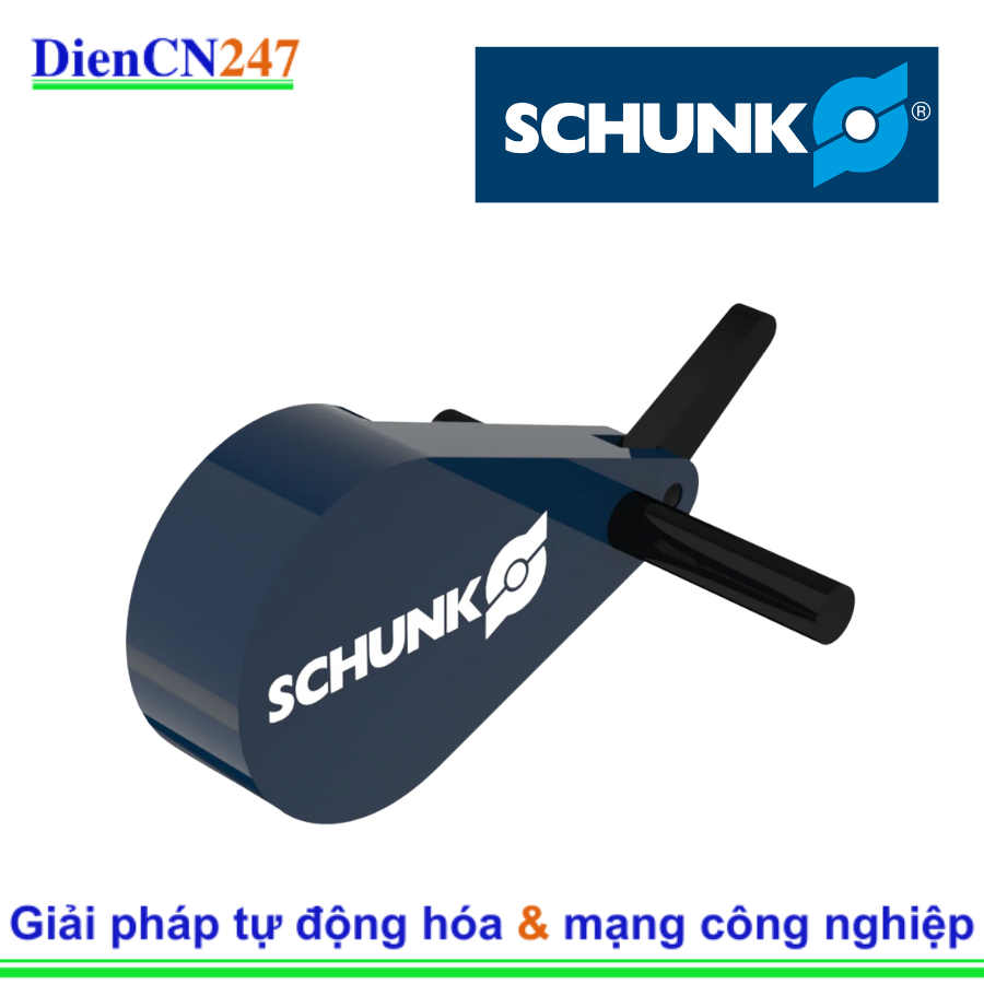 1391293 GWSA-M 60 x 15 Schunk | DienCN247